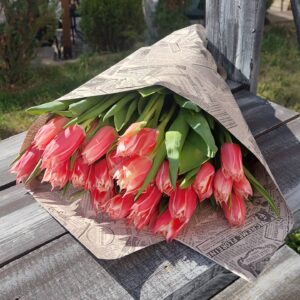 Tulipani 3
